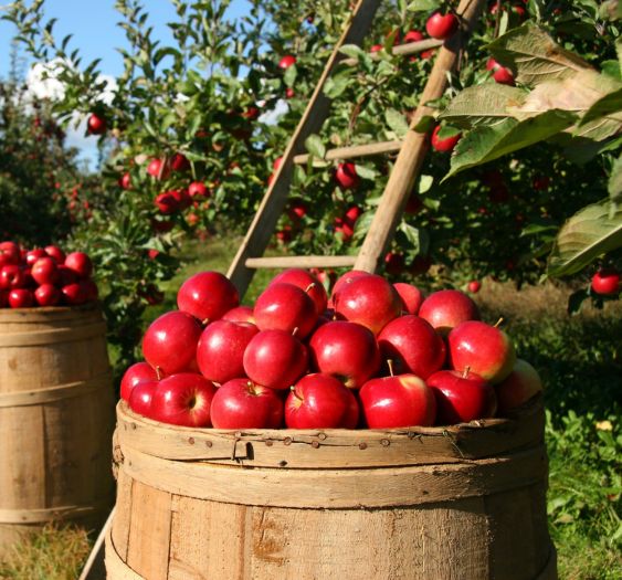 things to do for destination